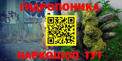 сатива Апшеронск