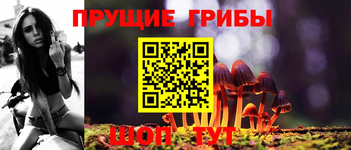 Галлюциногенные грибы Psilocybe  Галлюциногенные грибы Magic Shrooms  Вход с VPN  Ачхой-Мартан 