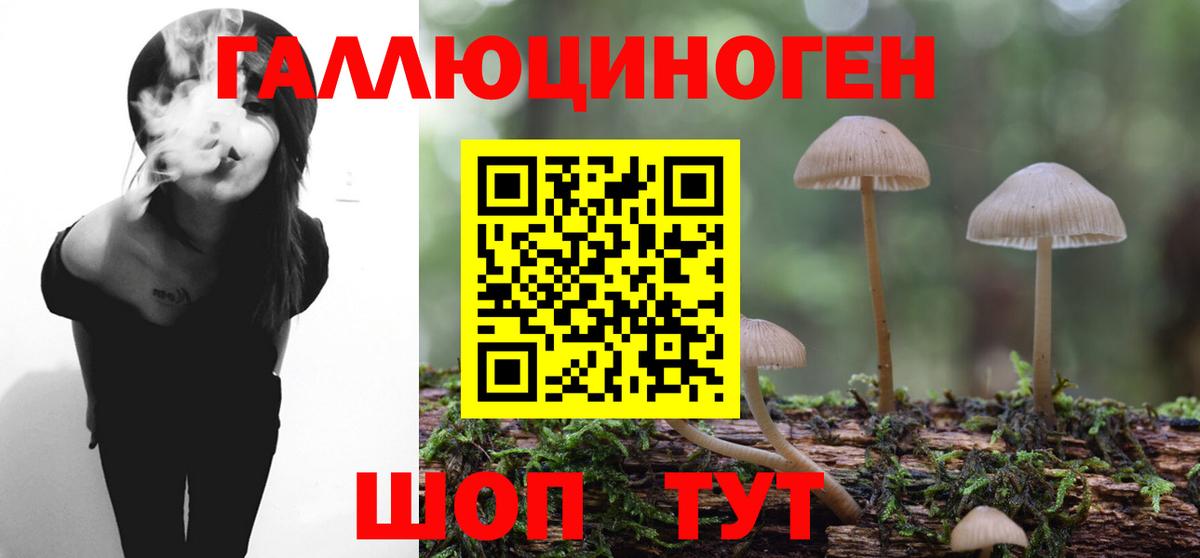 Псилоцибиновые грибы ЛСД Ачхой-Мартан